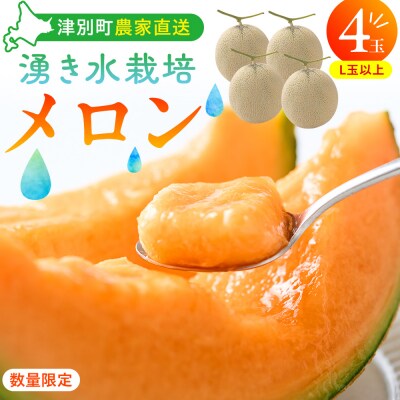 【R8年収穫分】【数量限定】さのさん家のメロン(L玉以上)4玉 湧き水栽培 さの農場|北海道津別町