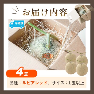 【R8年収穫分】【数量限定】さのさん家のメロン(L玉以上)4玉 湧き水栽培 さの農場|北海道津別町