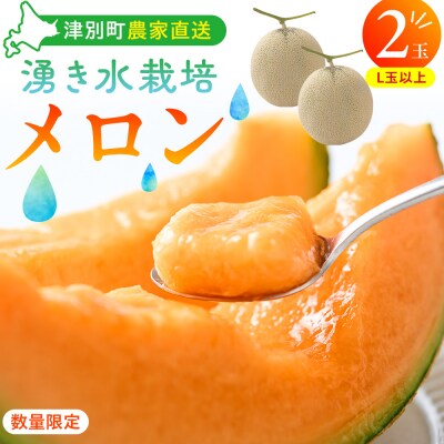 【R8年収穫分】【数量限定】さのさん家のメロン(L玉以上)2玉 湧き水栽培 さの農場| 北海道津別町