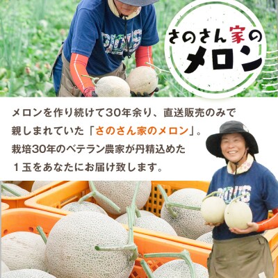 【R8年収穫分】【数量限定】さのさん家のメロン(L玉以上)2玉 湧き水栽培 さの農場| 北海道津別町
