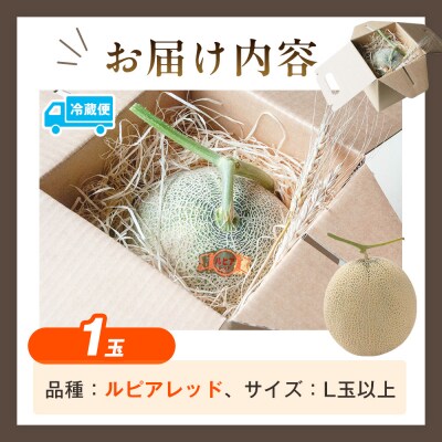【R8年収穫分】【数量限定】さのさん家のメロン(L玉以上)1玉 湧き水栽培 さの農場| 北海道津別町