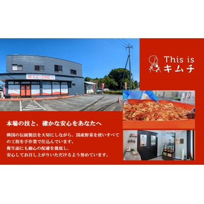 【定期便3か月毎×4回コース】本格絶品キムチ3種セット(ねぎ・白菜・大根)