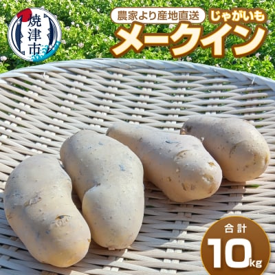 じゃがいも メークイン　農家より産地直送　5kg×2(a10-1267)