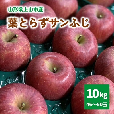 有機肥料栽培　葉とらずサンふじ　上山市産　10kg　46～50玉　0079-2627