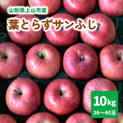 有機肥料栽培　葉とらずサンふじ　上山市産　10kg　36～40玉　0079-2628
