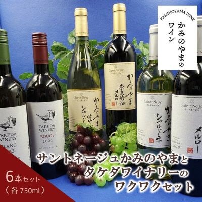 【2026年6月～発送】サントネージュかみのやまとタケダワイナリーのワクワクセット0141-2613