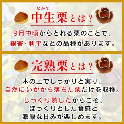 <栗 約2kg　愛媛県西予市産> 完熟栗 和栗 宇都宮物産　国産クリ くり 果物
