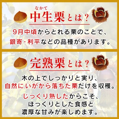  <栗 約3kg　愛媛県西予市産> 完熟栗 和栗 宇都宮物産　国産クリ くり 果物