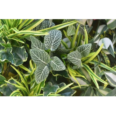 壁掛けアレンジ 2kg(造花)Go-568
