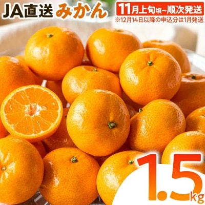 みかん 約1.5kg