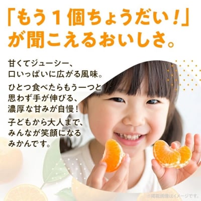 みかん 約1.5kg