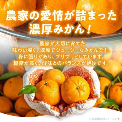 みかん 約4kg