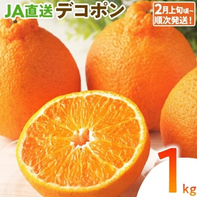 デコポン(不知火)約1kg