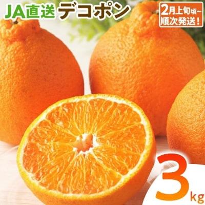 デコポン(不知火)約3kg