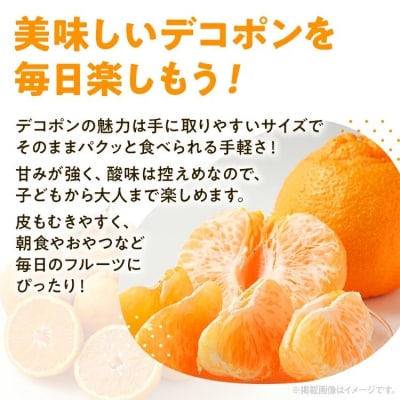 デコポン(不知火)約3kg
