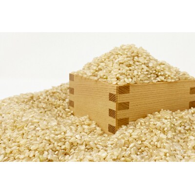 【定期便6ヶ月】【令和8年産新米】【玄米】鈴木・ファーム「ササニシキ」10kg×6ヶ月_A127