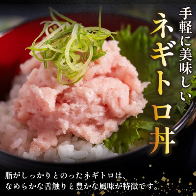 【定期便】ネギトロ丼にも 訳ありネギトロ 小分け まぐろ セット 2回 計700g Wda-0019
