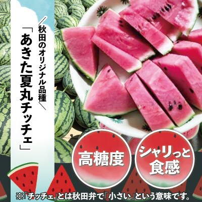 シャリっと甘い小玉スイカ!あきた夏丸チッチェ<小1個>