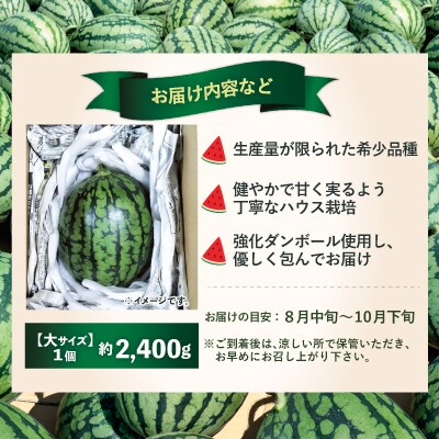 シャリっと甘い小玉スイカ!あきた夏丸チッチェ<大1個>