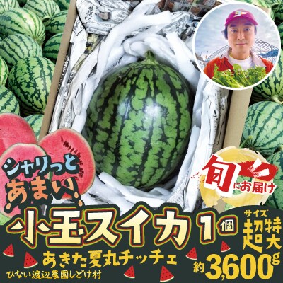 シャリっと甘い小玉スイカ!あきた夏丸チッチェ<超特大1個>