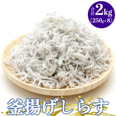 土佐名産 釜揚げしらす 約250g×8パック tk-0014