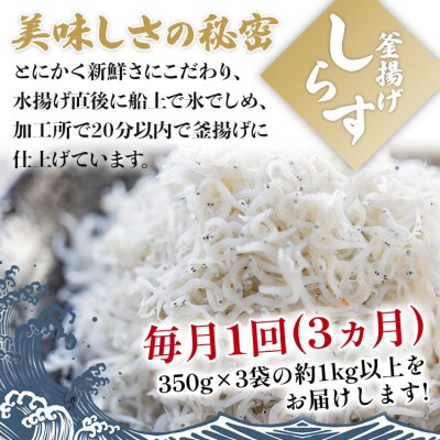 3回定期便 釜揚げしらす「銀凪」350g×3袋(約1kg) 合計3kg以上 Wym-0011