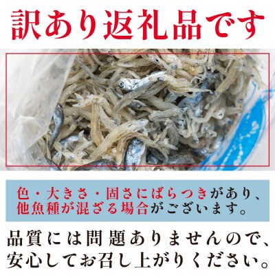 訳あり 上乾ちりめん 約1kg 冷蔵 mu-0014