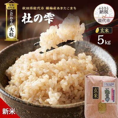 先行予約 新米 令和8年 あきたこまち 5kg 玄米[No.5335-1505]