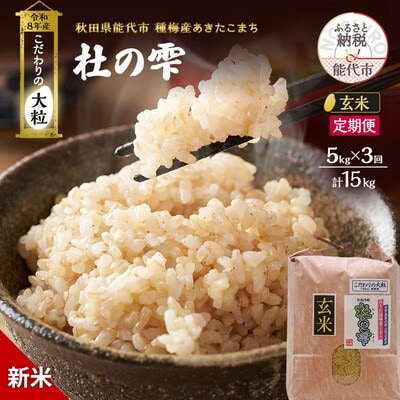 先行予約 新米 玄米 定期便3ヶ月 あきたこまち 5kg 計15kg [No.5335-1507]