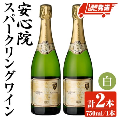 安心院スパークリングワイン白 750ml 2本セット【107302602】【時枝酒店】