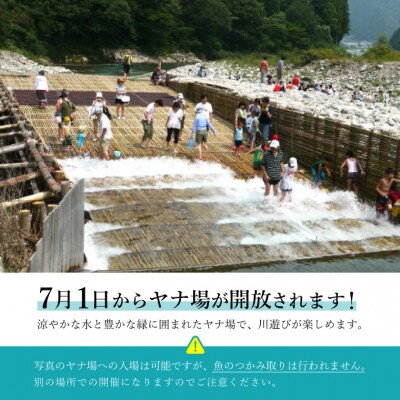 【板取川洞戸観光ヤナ】Aコース鮎料理お食事券(1人前)