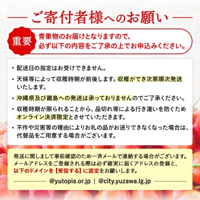 【先行予約】三関産 さくらんぼ 佐藤錦 500g 秀品 Lサイズ 冷蔵 果物 [B4-3201]