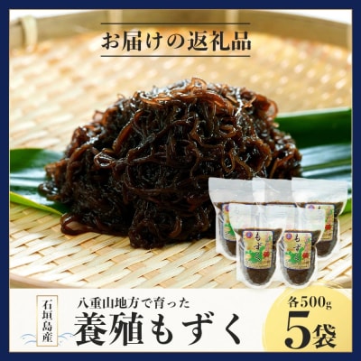 石垣島産 八重山地方で育った養殖もずく5パック・内容量500g×5 合計2.5kg