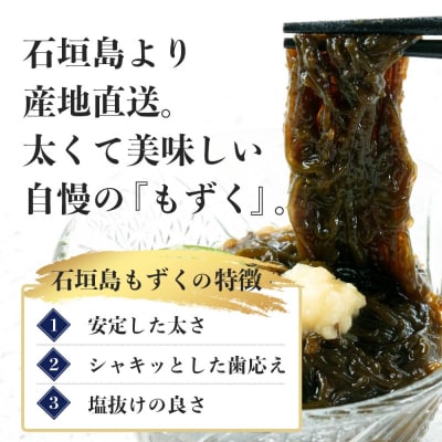【石垣島産もずく定期便6回】2か月に1回『500g×6パック』を計6回お届けします!