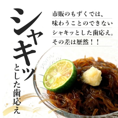 【石垣島産もずく定期便6回】2か月に1回『500g×6パック』を計6回お届けします!