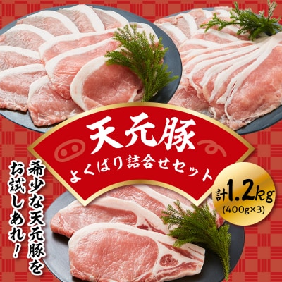 豚肉 天元豚 よくばり 詰合せ セット しゃぶしゃぶ 焼肉 とんかつ 各400g 計1.2kg