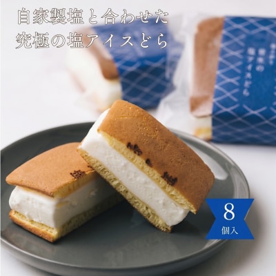 塩どら焼き専門店の塩アイスどら焼き8個セット