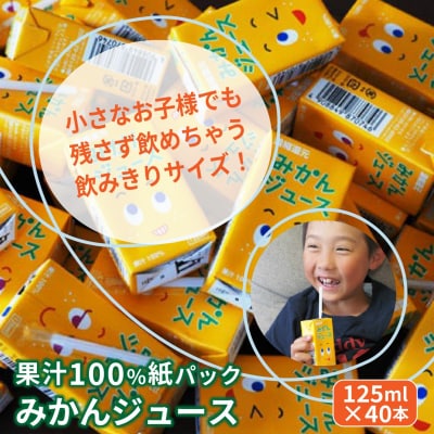 果汁100%紙パックみかんジュース125ml×40本_1521R