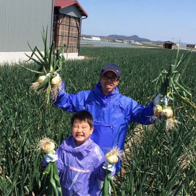 淡路島産玉ねぎ 5kg　◆配送令和8年5月中旬～