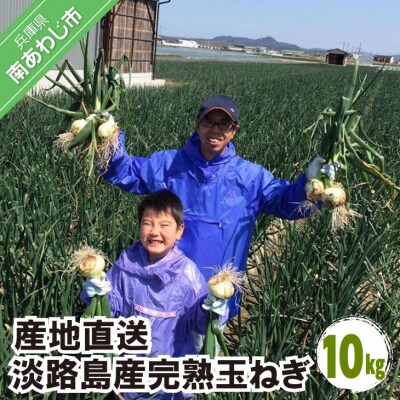 淡路島産玉ねぎ 10kg
