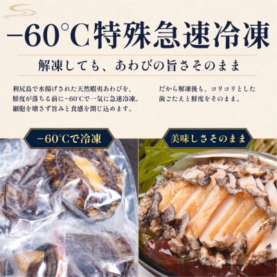 利尻島産 天然蝦夷あわび500g(冷凍)[No5888-0579]