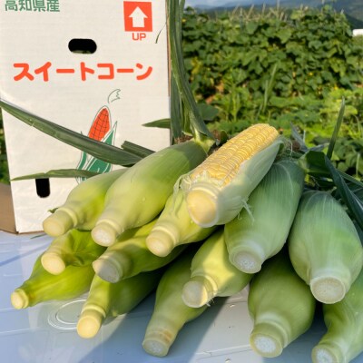 【四国一小さなまち】★2026年6月中旬頃より発送予定★スイートコーン(ゴールドラッシュ)15本