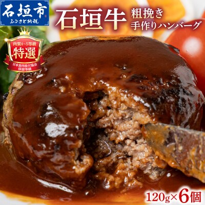 担たん亭 石垣牛 手作り粗挽きハンバーグ 720g (120g×6個) TA-008