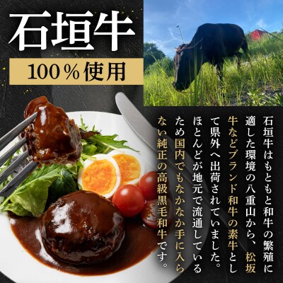 担たん亭 石垣牛 手作り粗挽きハンバーグ 720g (120g×6個) TA-008