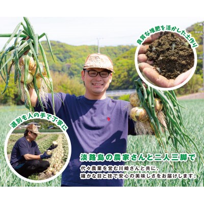海月館 自社農場栽培!淡路島産 玉ねぎ 3kg