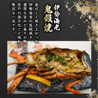 【訳あり】活 伊勢海老 訳あり 500g(1～3匹) 冷蔵
