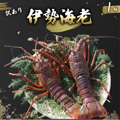 【訳あり】活 伊勢海老 訳あり 1kg(3～5匹) 冷蔵