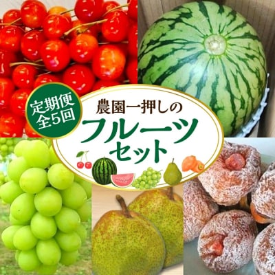 【定期便:全5回】農園一押しのフルーツセット　3000-2601