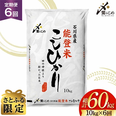 【さとふる限定】 米 定期便 能登米 こしひかり 10kg 6回 総計60kg 38601407