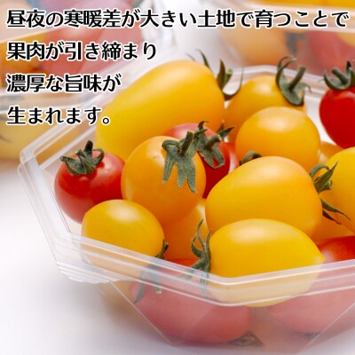 【赤と黄色の2色入り】彩りミニトマト詰合せ 2kg 濃厚 甘み サラダ お弁当 品種 アイコ